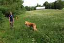 Pet Training at PawSitive Pets
